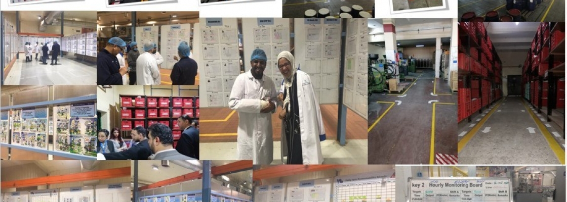 People Engagement in Operational Excellence and Lean